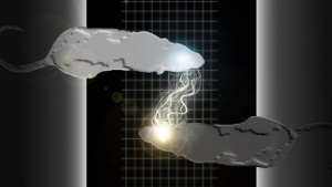 Illustration for article titled How Much Longer Until Humanity Becomes A Hive Mind?